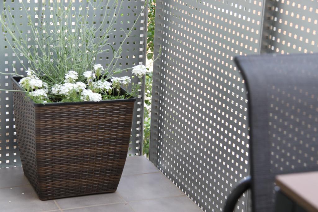 Appartement avec Balcon