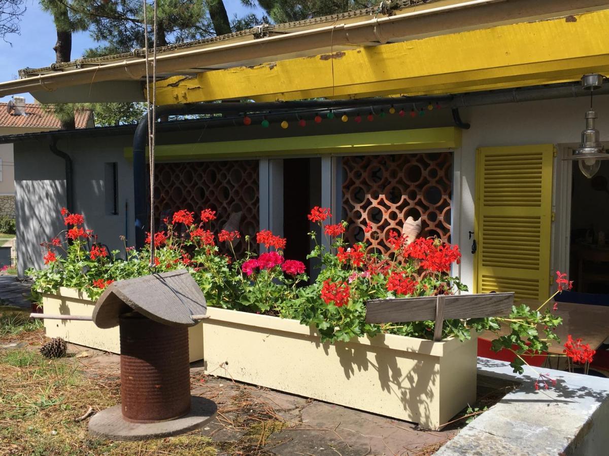 Apartment Garden View