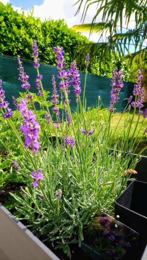 Chambre Double - Vue sur Jardin