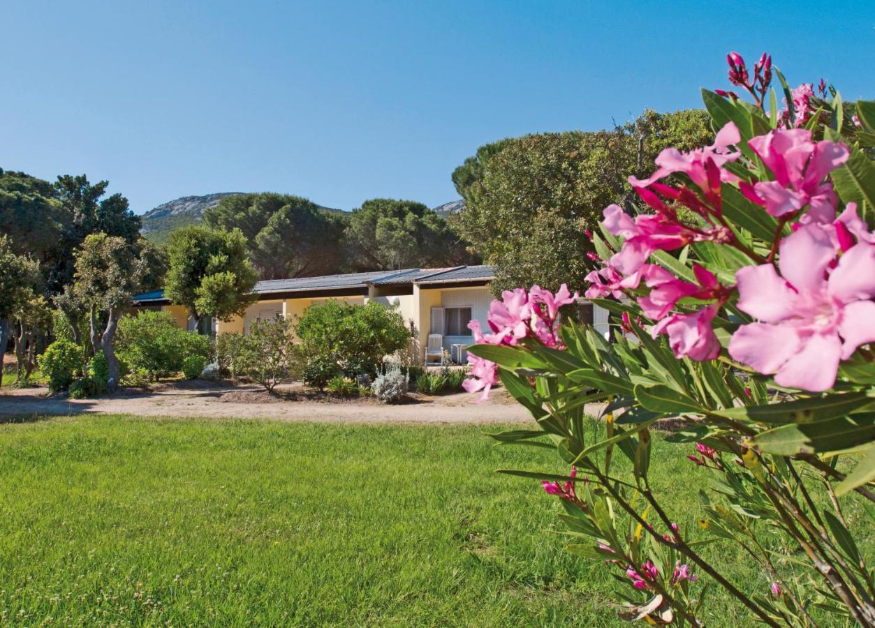 Bungalow 1 Chambre