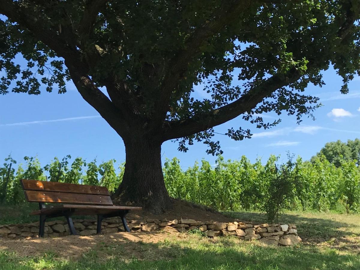 Chambre Familiale - Vue sur Jardin