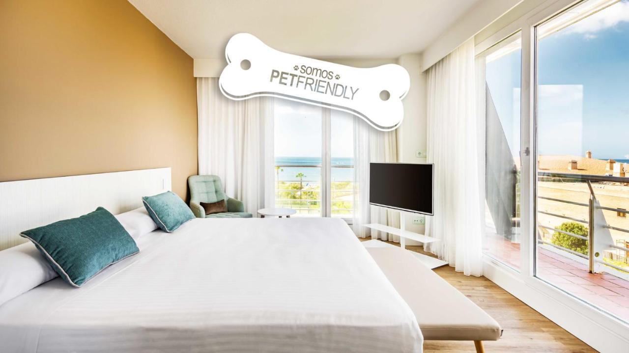 Chambre Double - Animaux Domestiques Acceptés