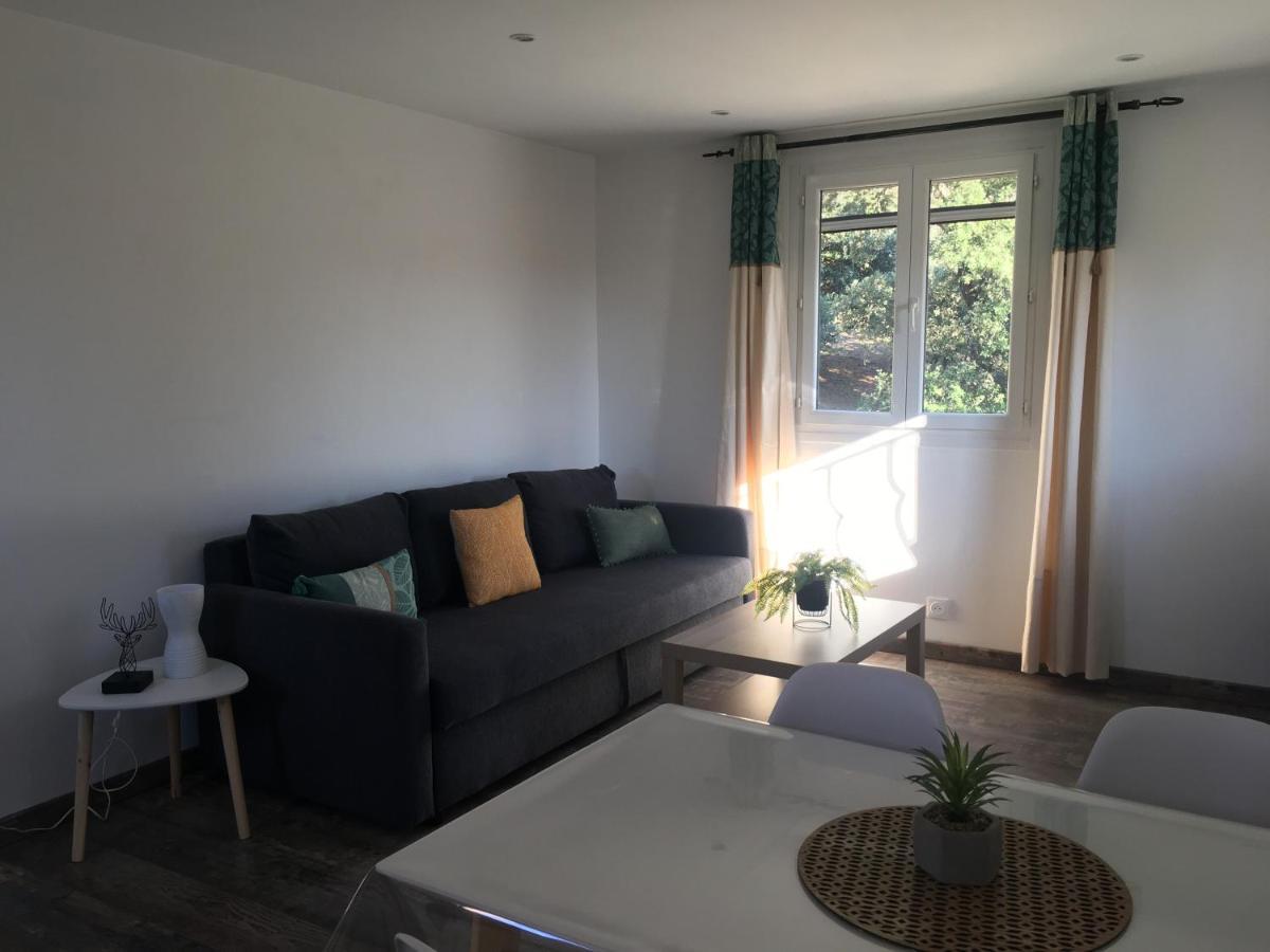 Appartement 1 Chambre