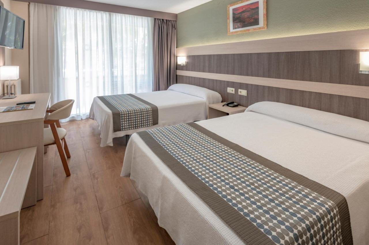 Chambre Quadruple (3 Adultes + 1 Enfant)