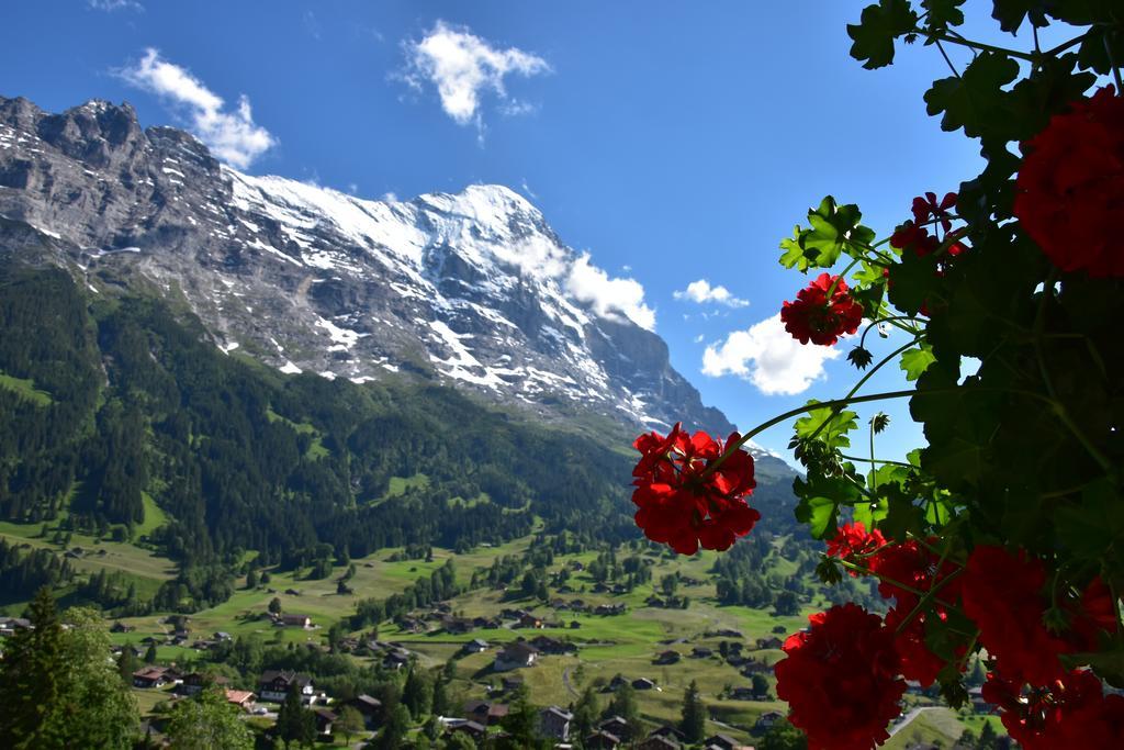 Chambre Double Supérieure Enzian avec Accès au Jardin - Vue sur Eiger