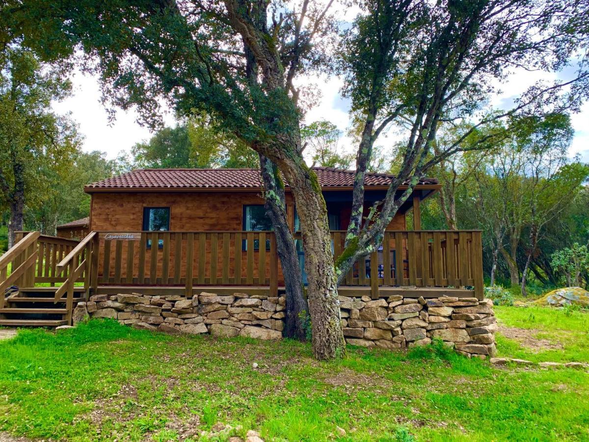 Chalet the forest