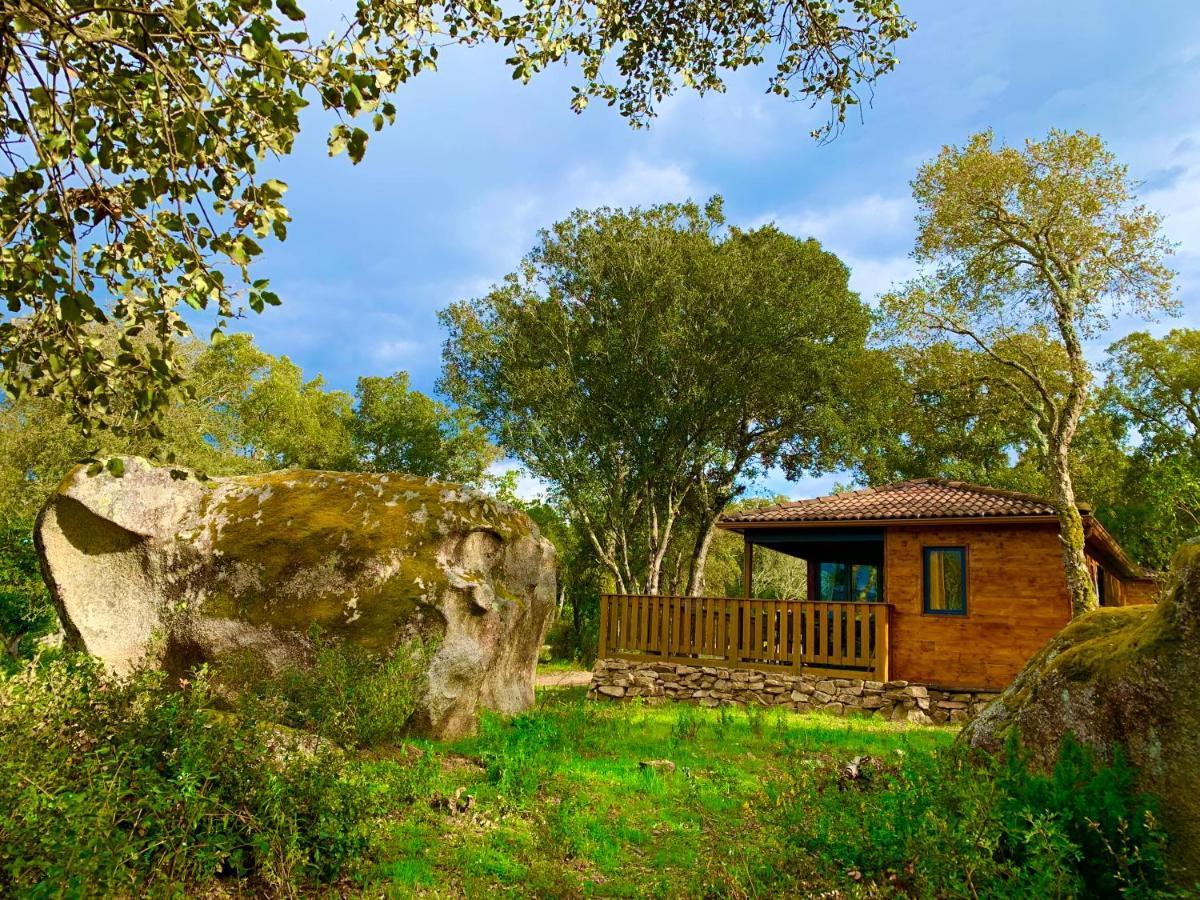 Chalet the forest