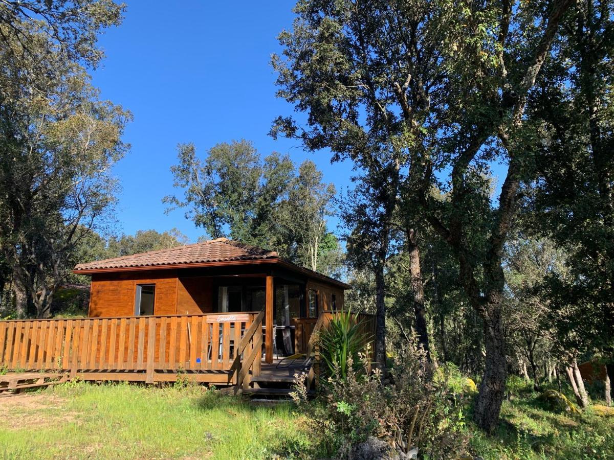 Chalet the forest