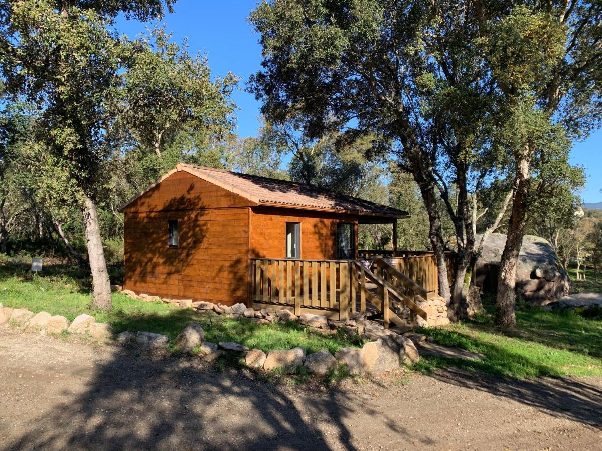 Chalet the forest