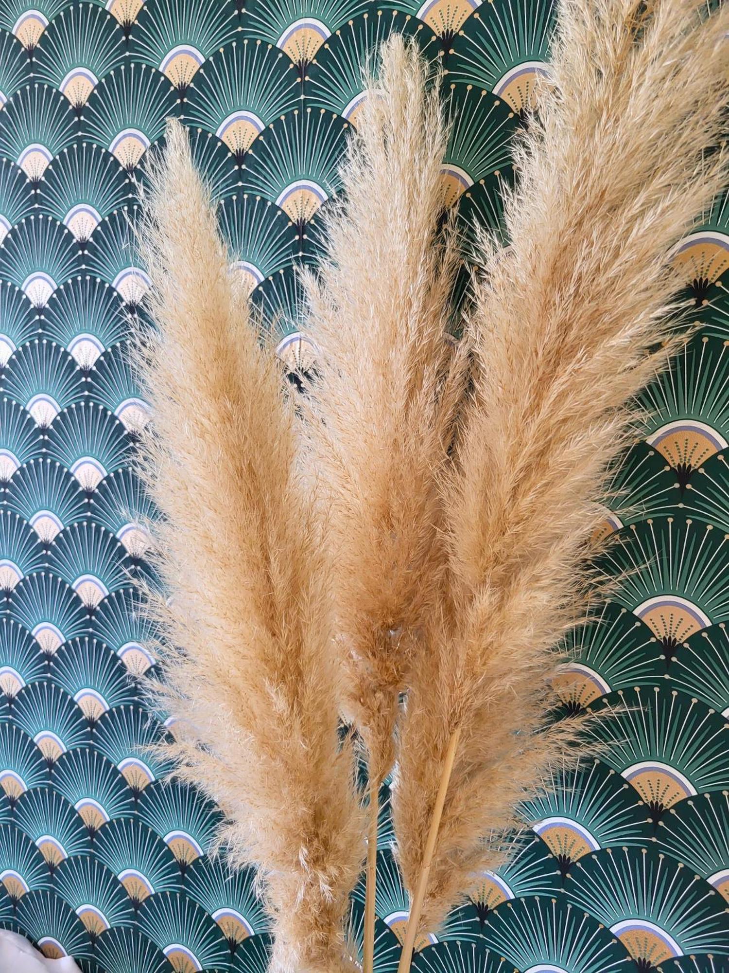 Double Room with Mountain View,1499676019:JPEG