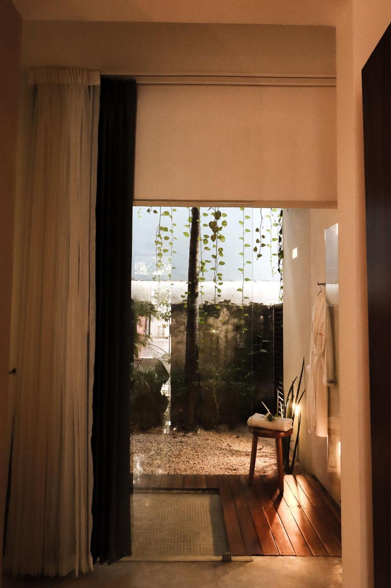 King Room Garden View