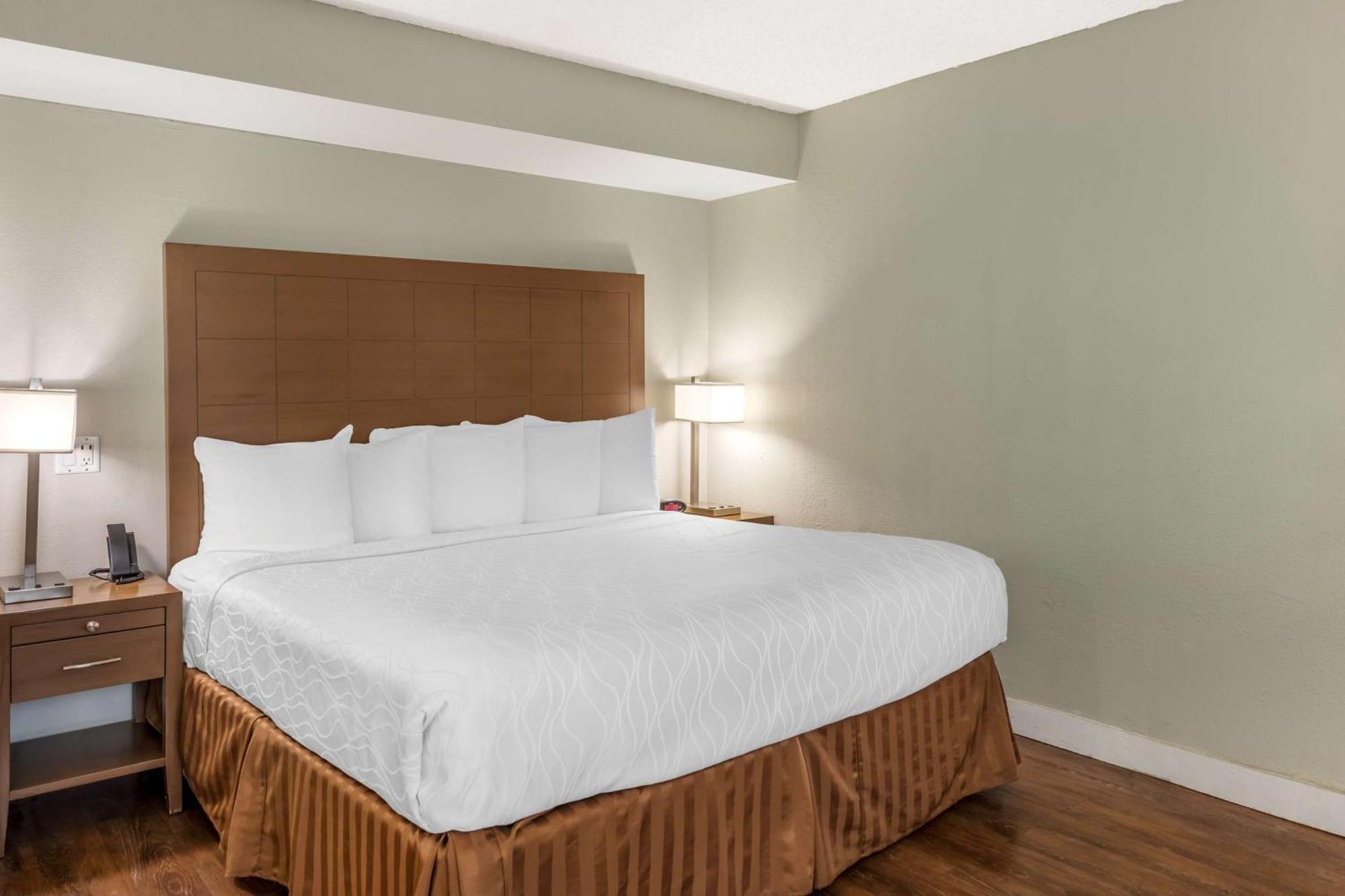 Chambre Lit King-Size - Non-Fumeurs