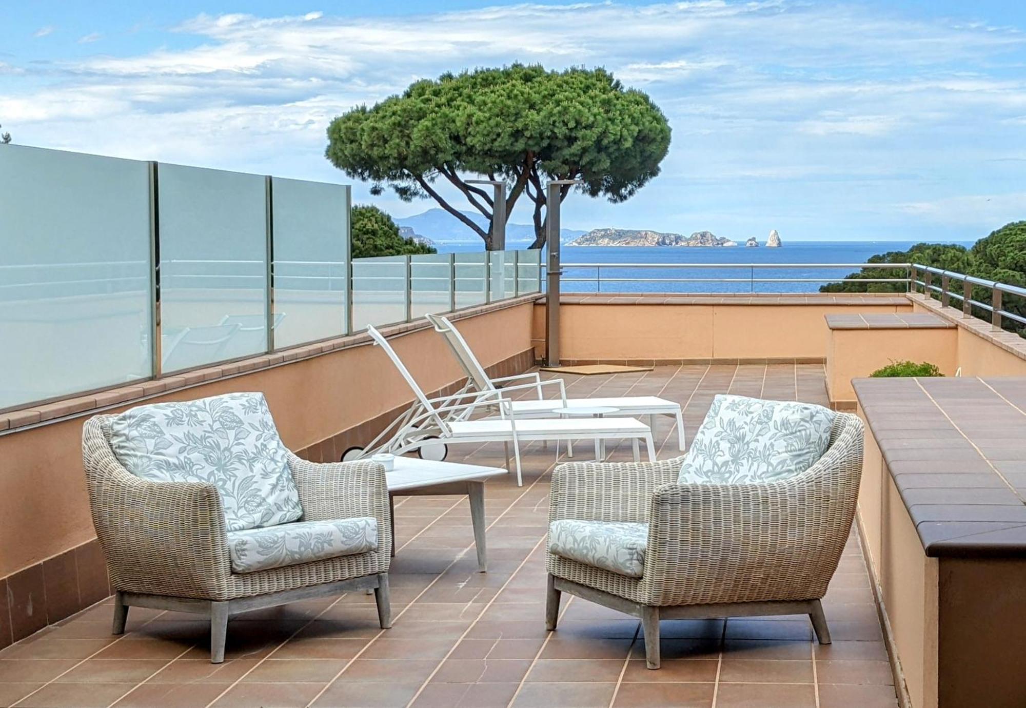 Suite Terrace
