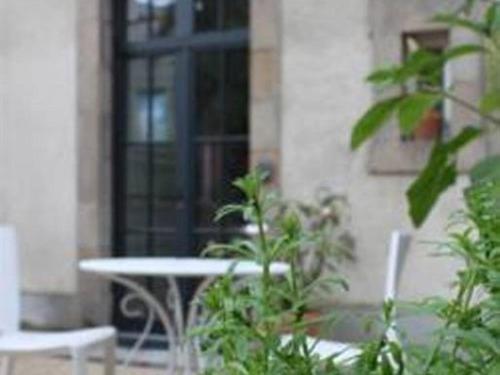 Comfort Apartment Terrace Garden Floor