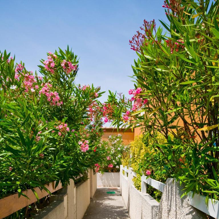 Villa 1 Chambre
