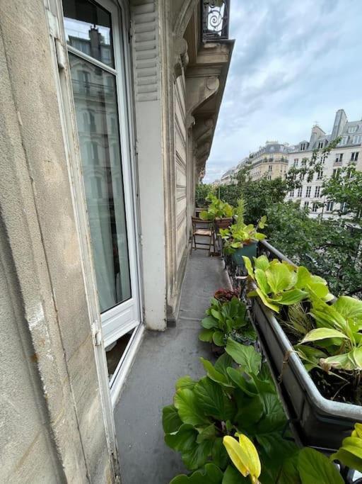 Three-Bedroom Deluxe Apartment