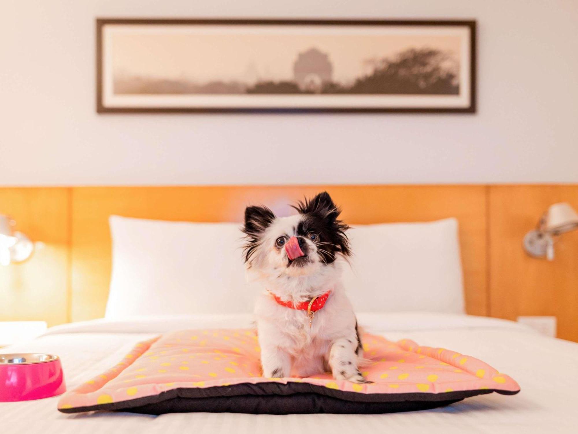 Standard Double Room Mobility Accessible