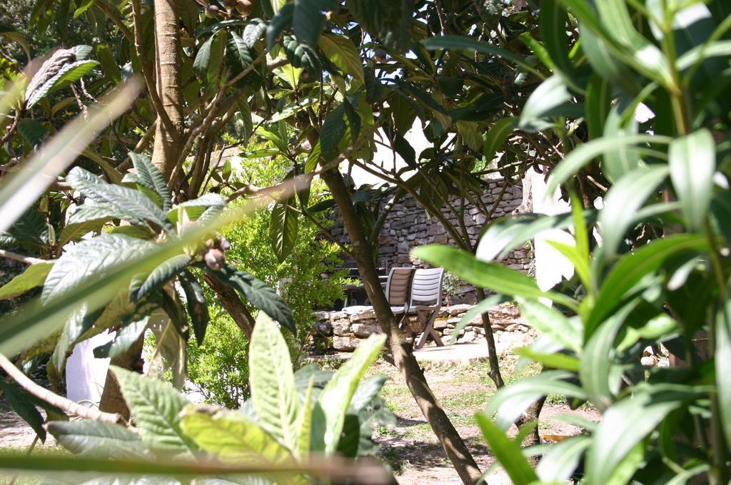 Studio Garden View