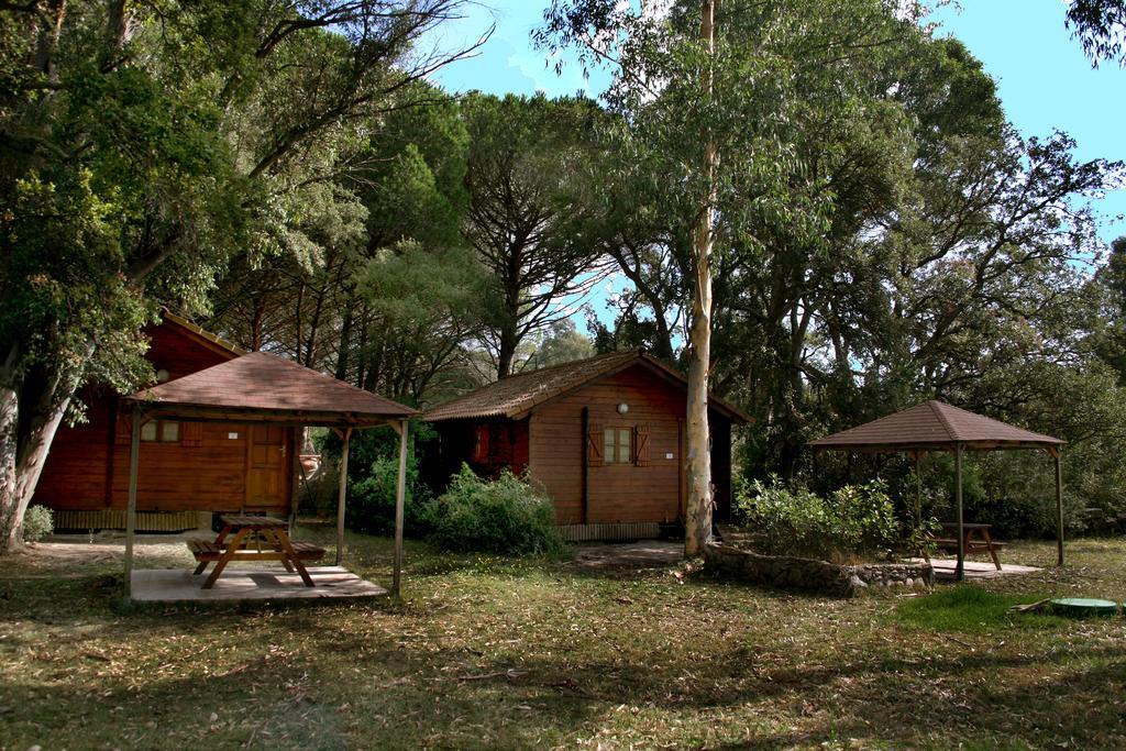 Chalet 1 Chambre