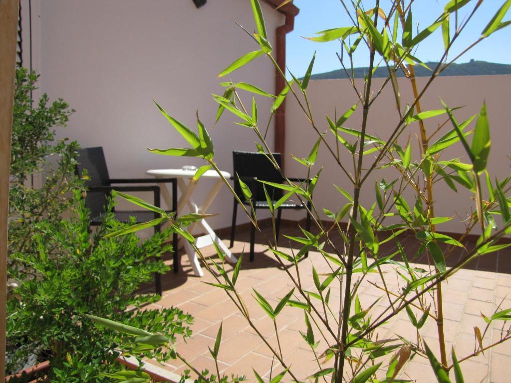 Chambre Lits Jumeaux avec Terrasse