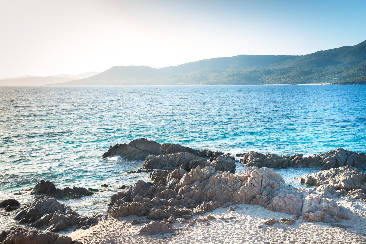 Double Room with Terrace,640494105:JPEG