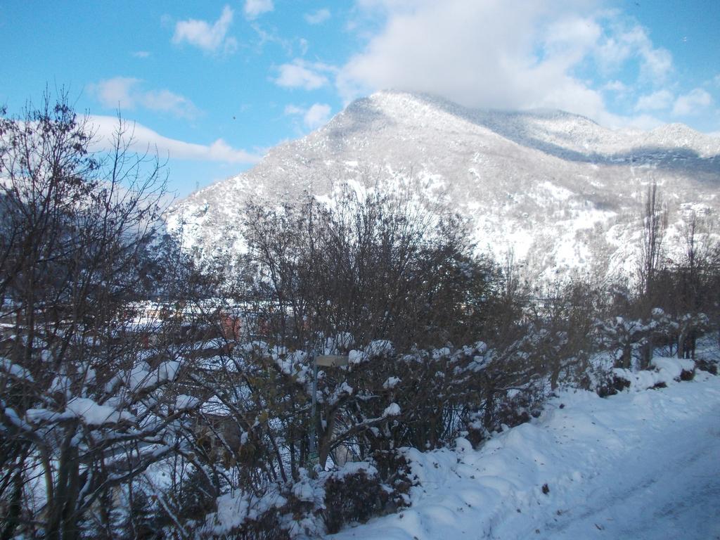 Standard Double  Room,319336533:JPEG