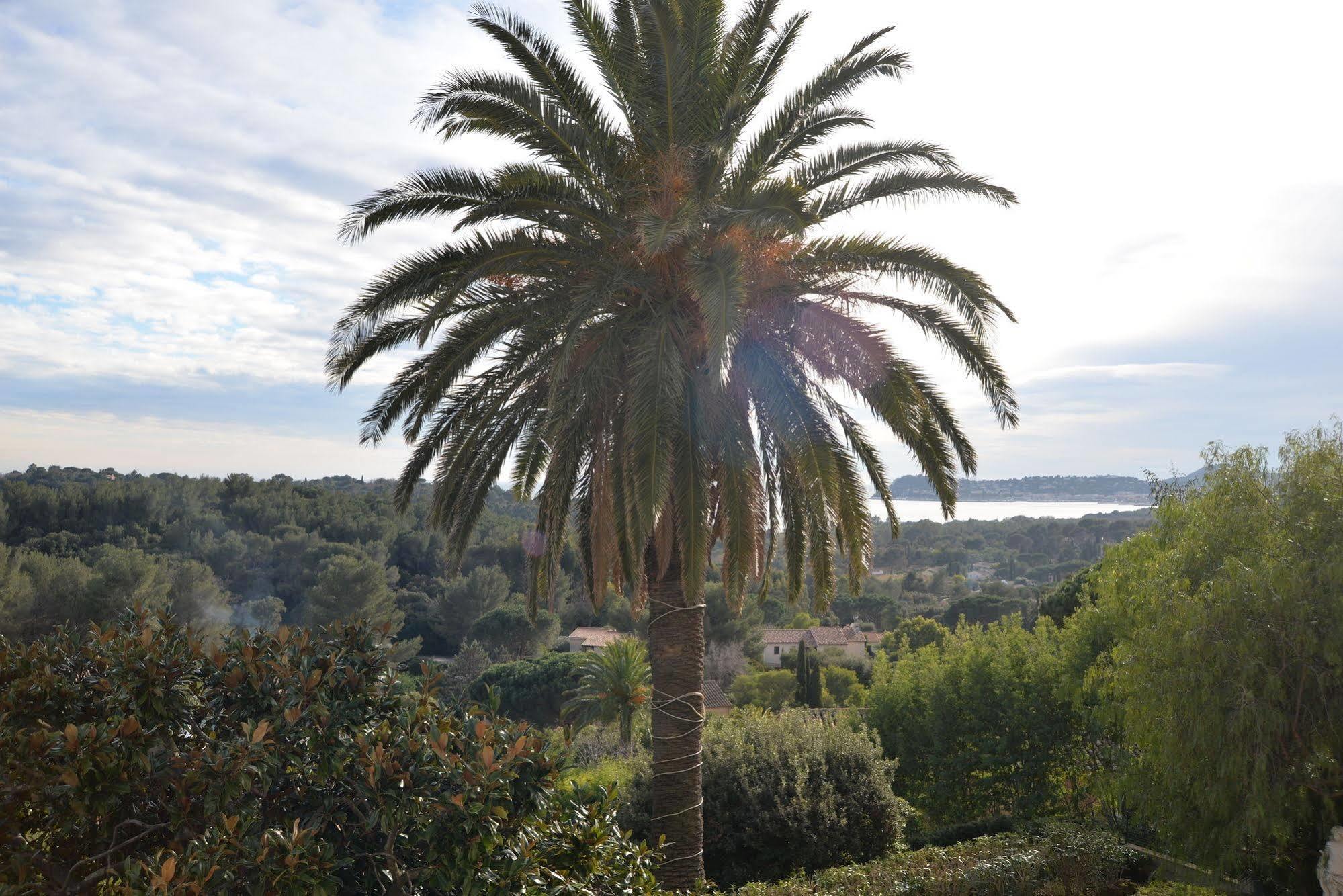 Chambre Double - Vue sur Mer