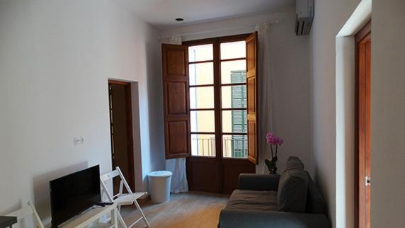 Appartement 1 Chambre