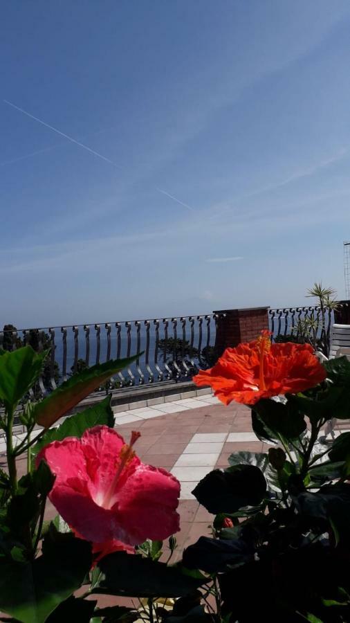 Apartment with Terrace,819169601:JPEG