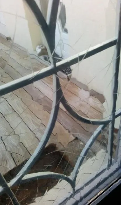 Chambre en ville dans un esprit campagne-1