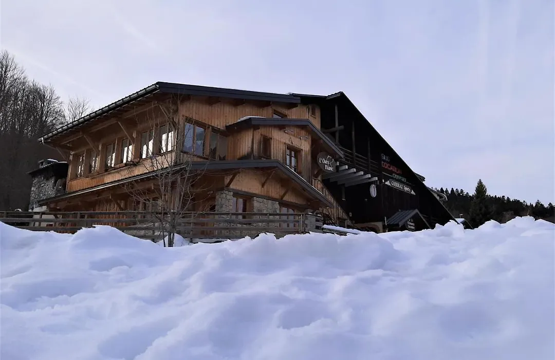 L'Ours Blanc-1