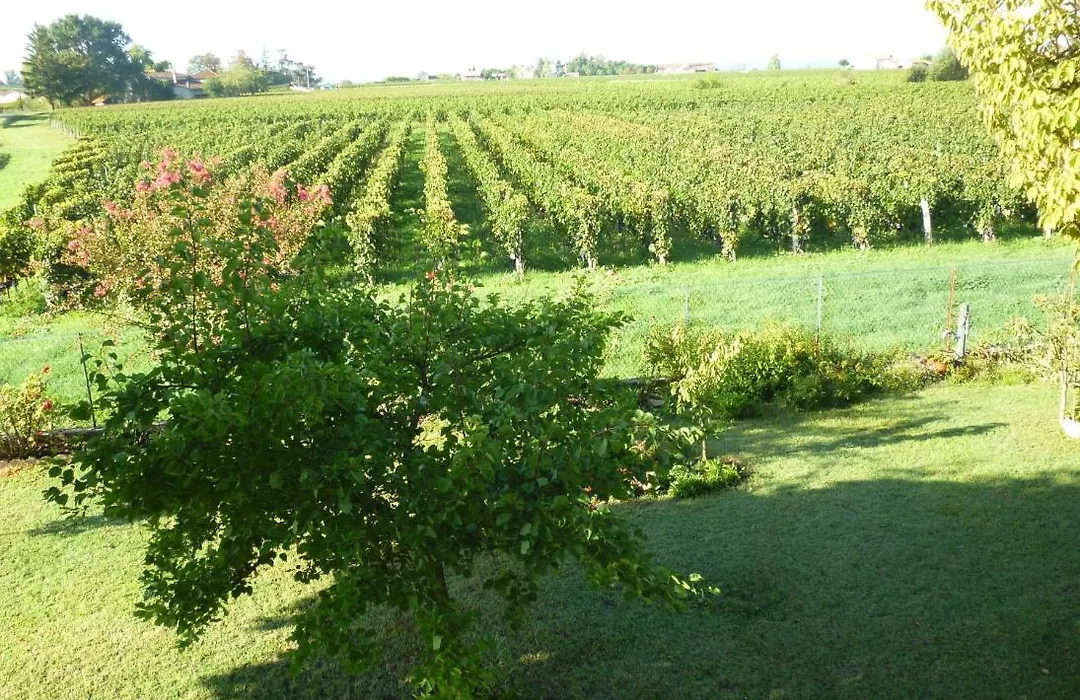 Le Clos des Rosiers-1