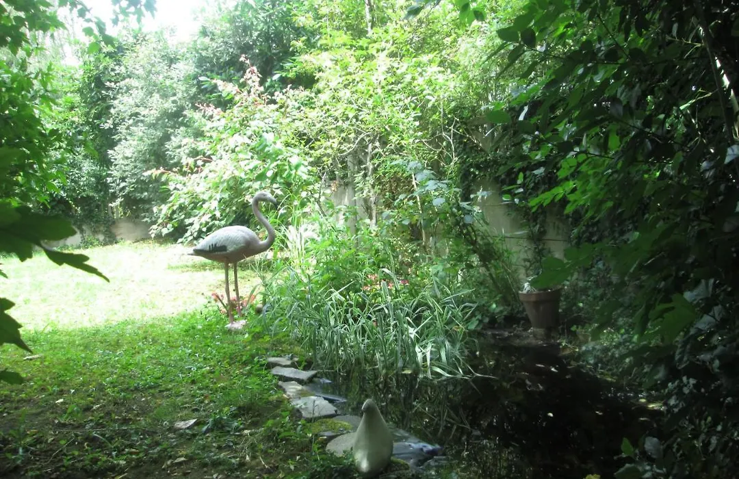 Appart Jungle-1