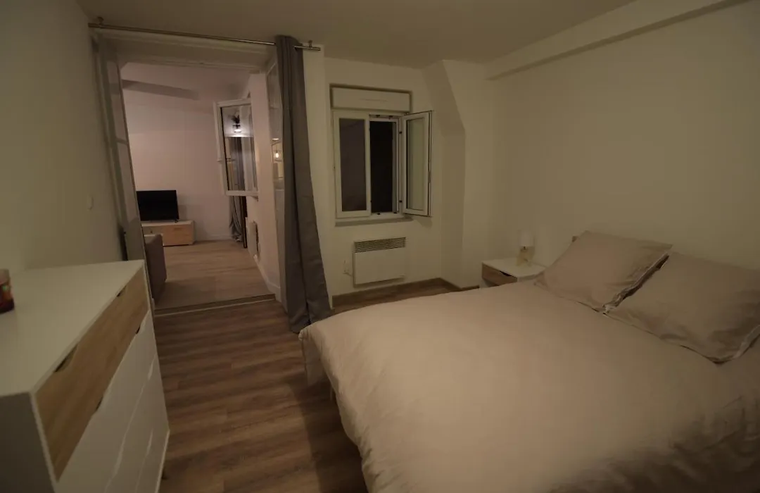 Cosy Appartement Hyper Centre Ville Avec Cour + Patio-1