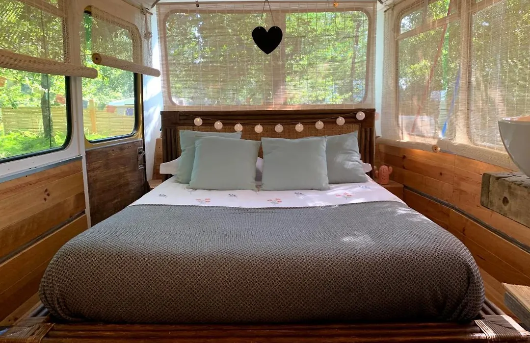 Magic Roof Top Bus With Big Bath In The Tree Forest!-1