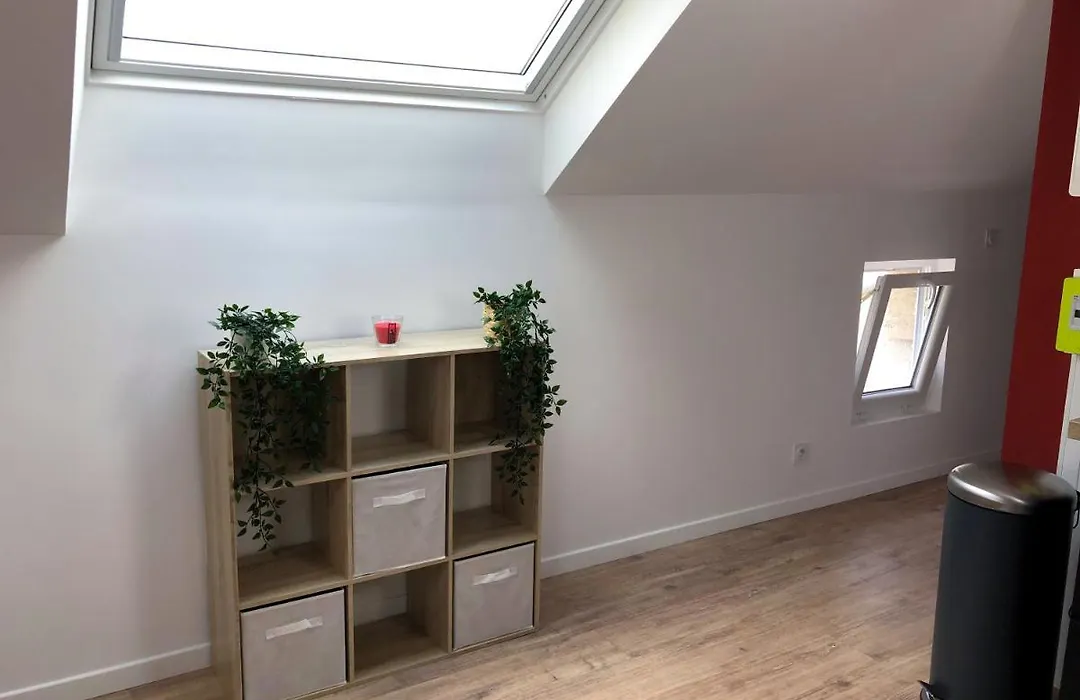 Adventure House - La Suite Cosy De L'Explorateur !-1