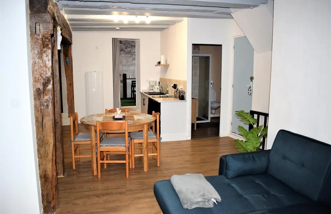 Gite Le Nid des Zoo Zio, 5mn Beauval, appartement terrasse centre-ville-1