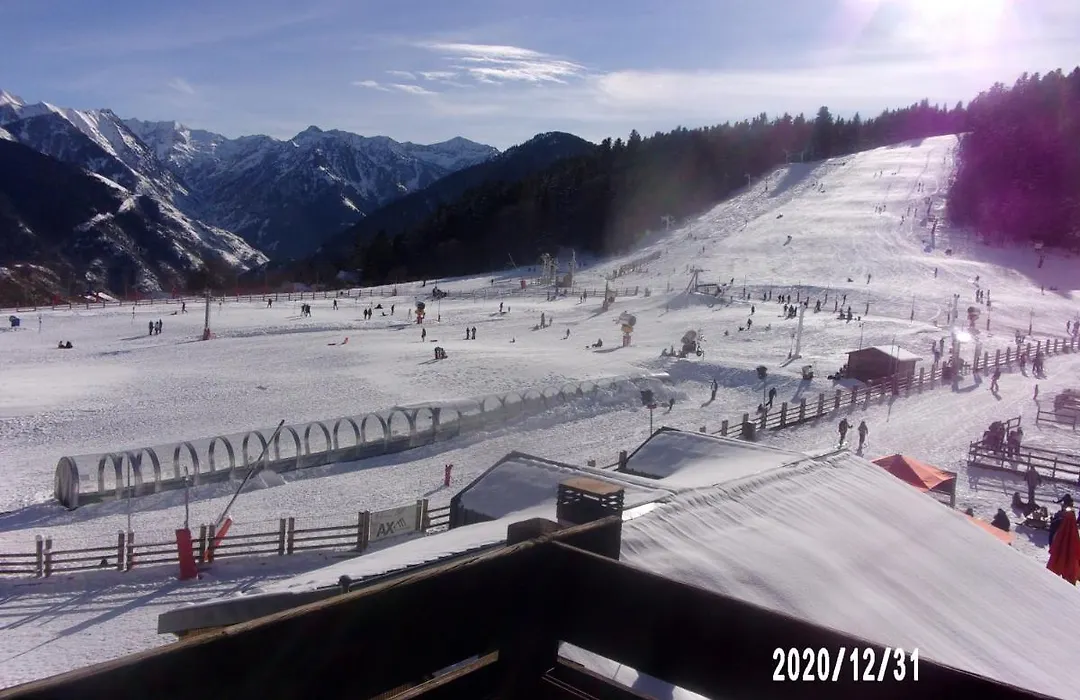 Un Isard au Pied des Pistes-1