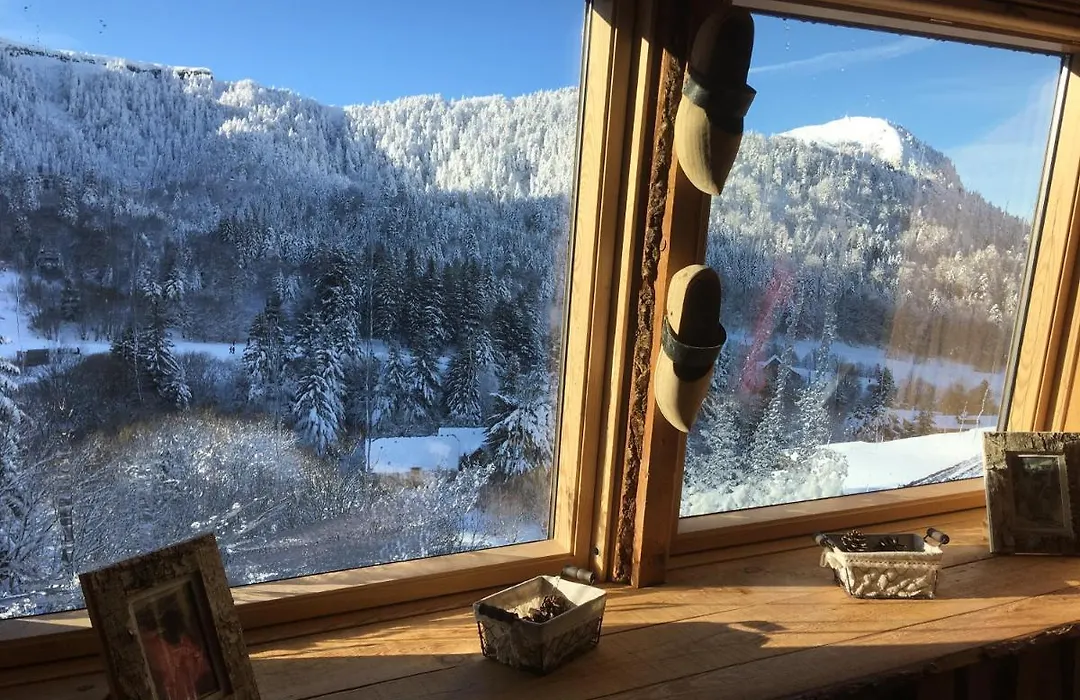 Appartement chalet Bellevue-pied de la montagne - Mont Dore-1