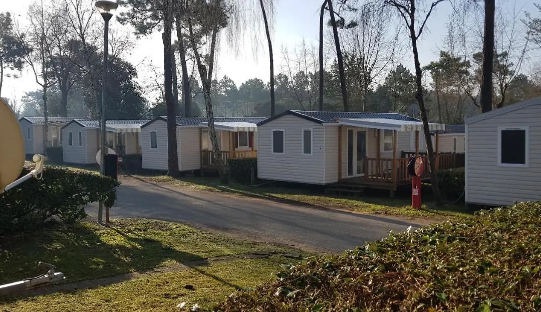 Mobilhome-1