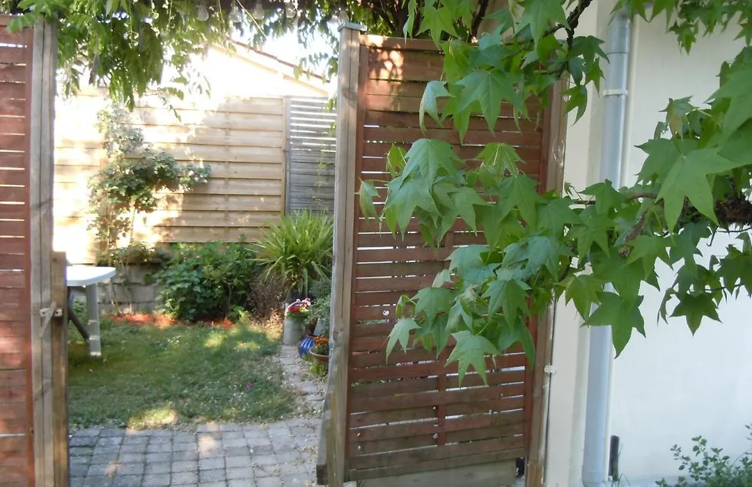 Wisteria-1