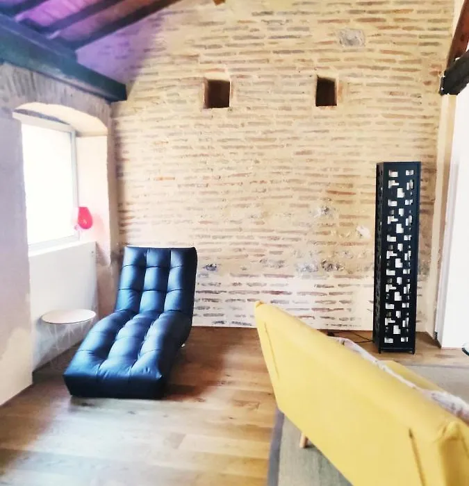 Chez Fanny - Le Loft - centre historique Cahors Cathédrale-1