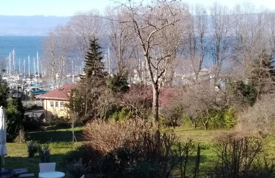 Leman-1