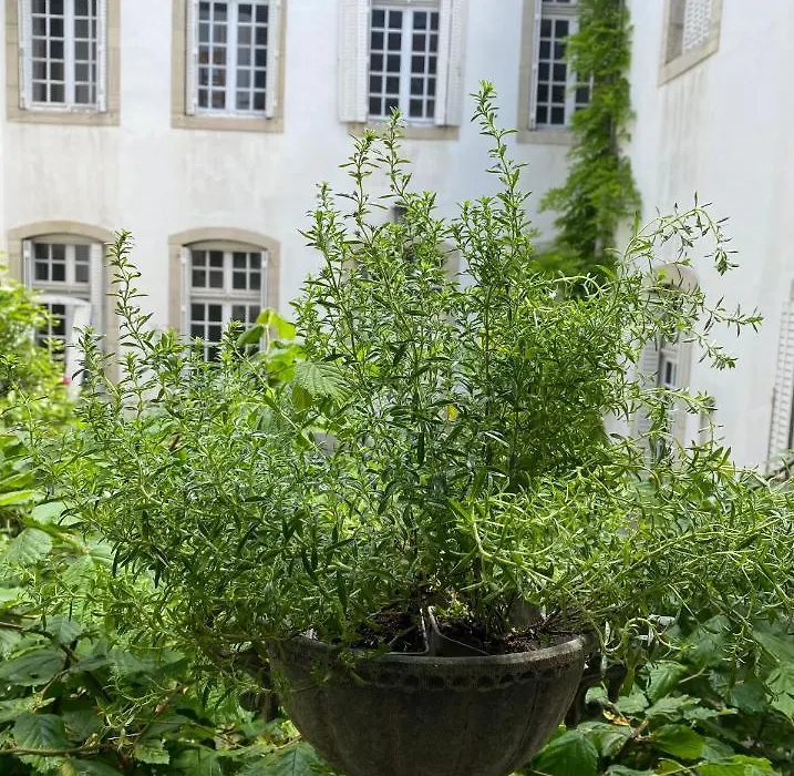 L'APPARTEMENT by Merveilles de Marie-1