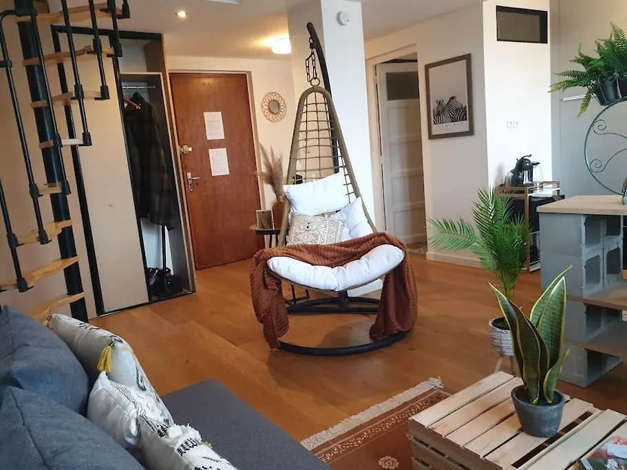 The Duplex Annecy Tgv; Vielle Ville-1