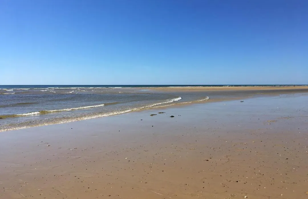 Mimizan Plage Grande maison bord de mer-1