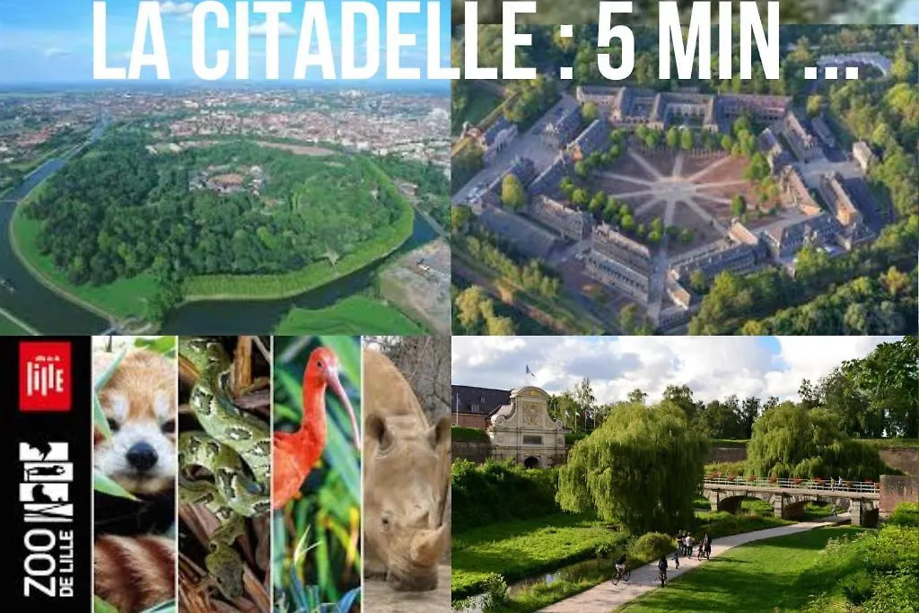 Sparadise Lille-1