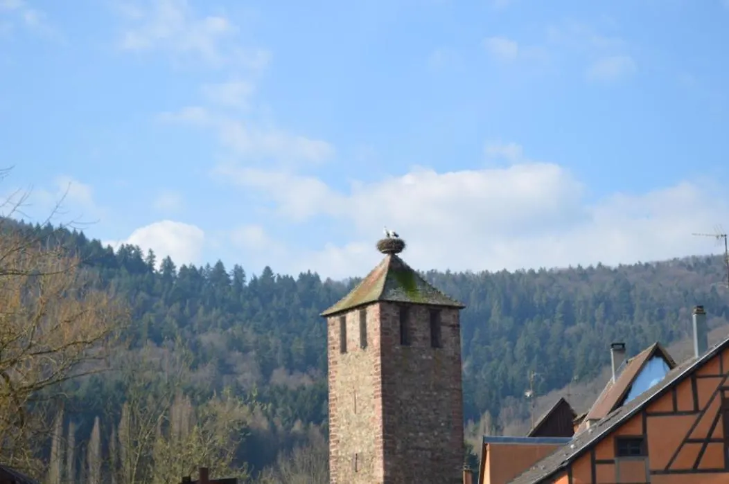 Coeur d'alsace-1