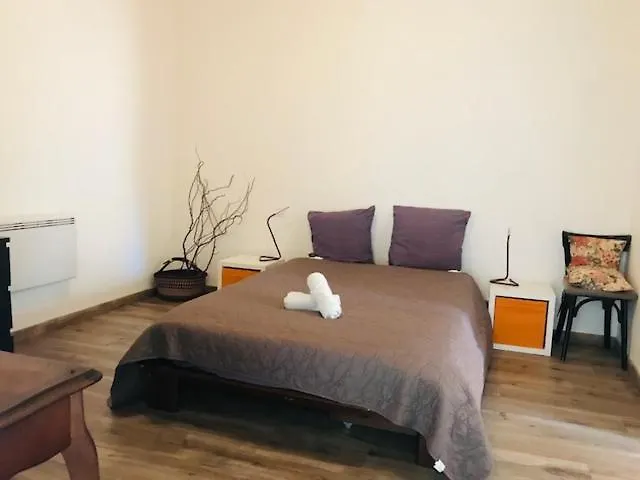 Grand LOFT 73m2 Renové Centre Ville vue jardin 8 couchages-1