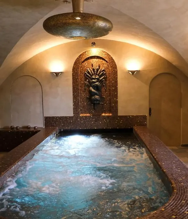 Hôtel Restaurant Spa Le Sauvage-1
